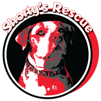Shorty's Rescue
