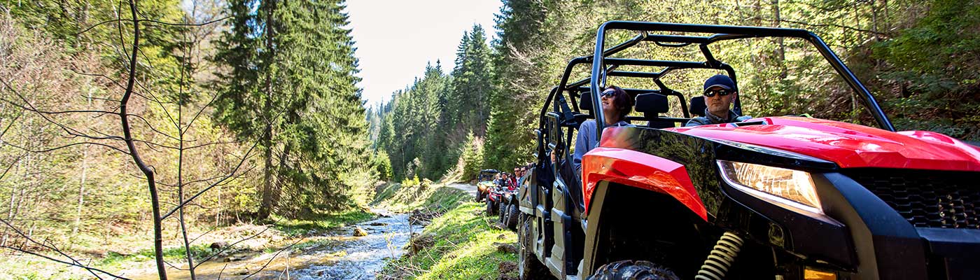 ATV in the Forest